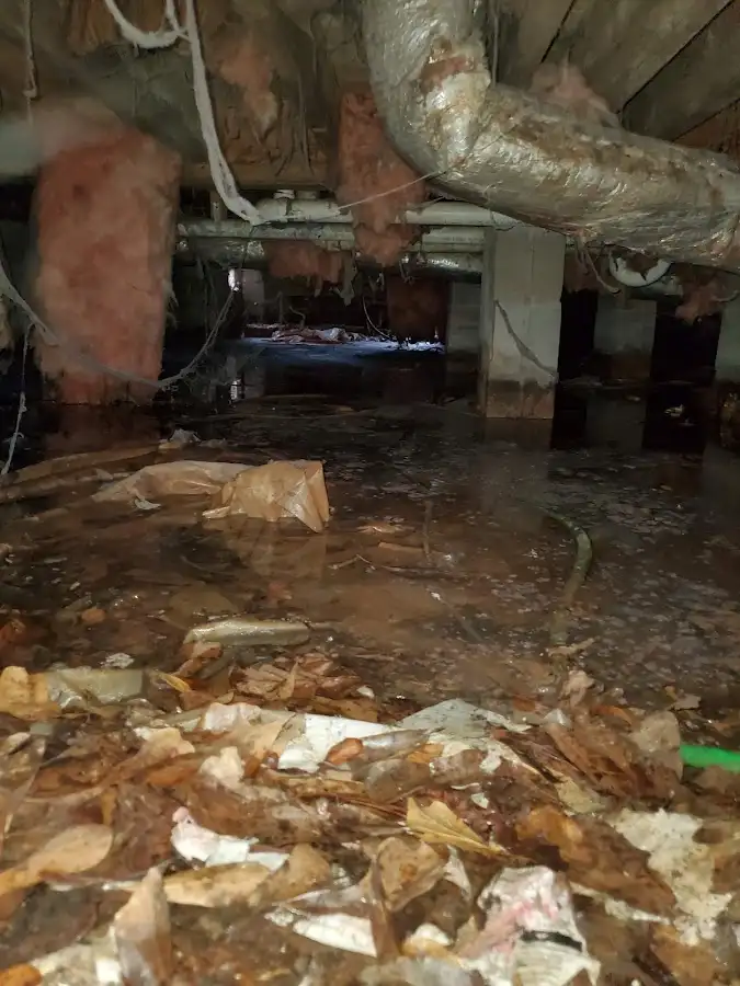 Crawl space flood assessment for Leak Detection & Repair in Port Huron