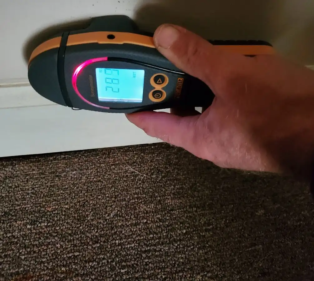 Moisture detection at baseboard during Sewage Cleanup & Sanitation in Port Huron